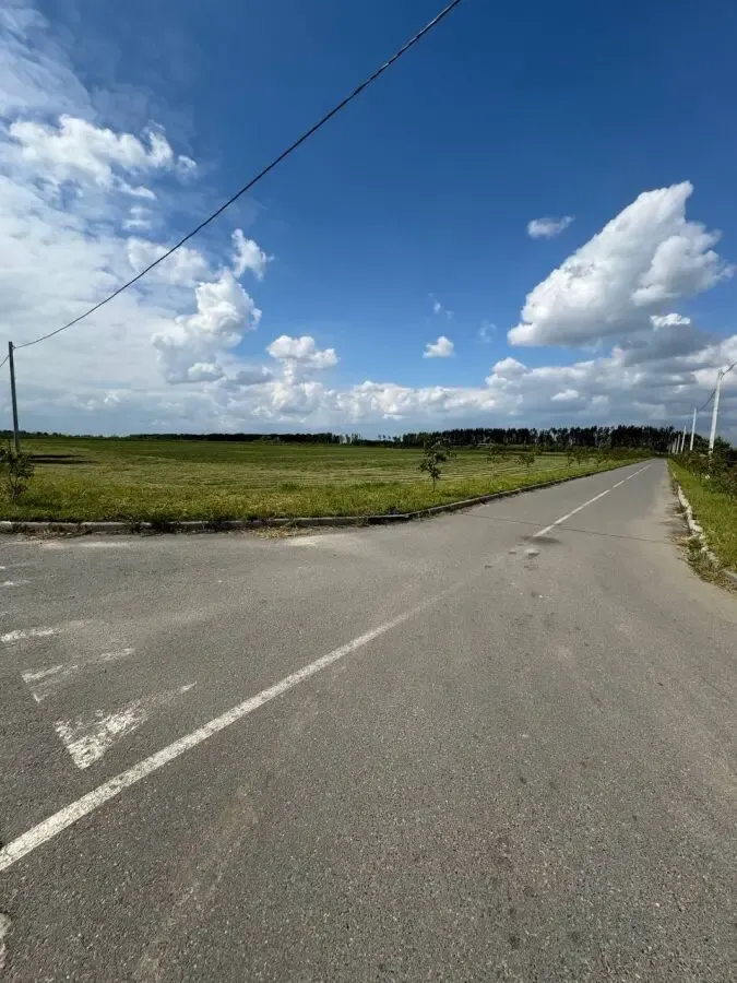 Земельный участок 5Га, c.Бузовая, Киевская область 7