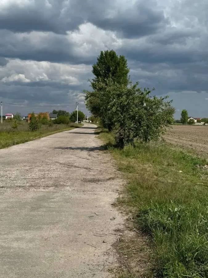 Земельный участок 5Га, c.Бузовая, Киевская область 3