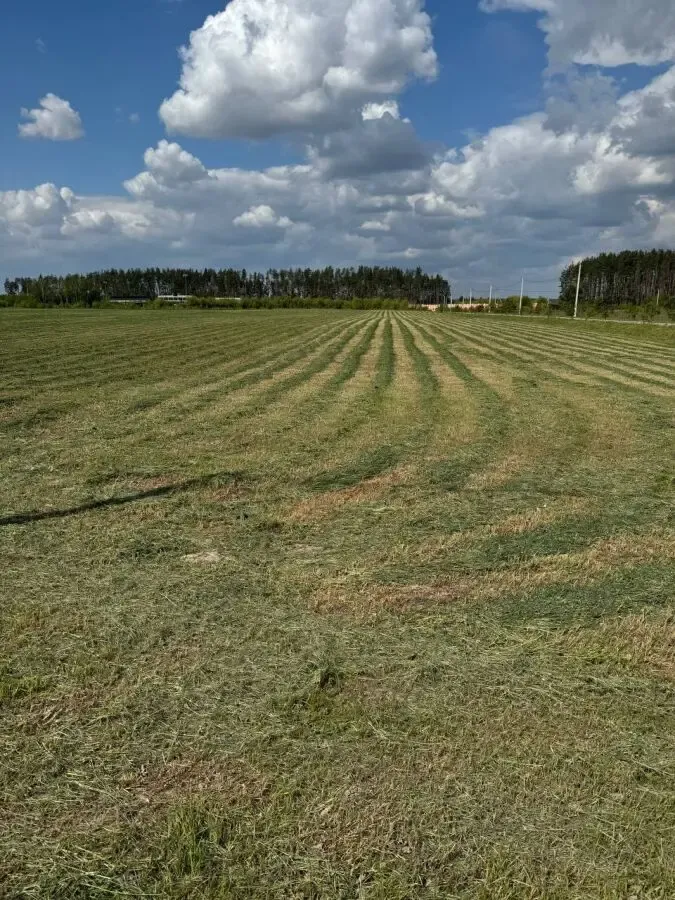 Земельный участок 5Га, c.Бузовая, Киевская область 2