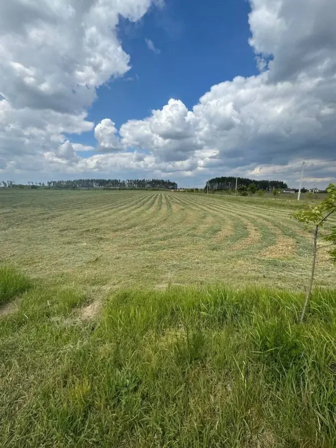 Земельный участок 5Га, c.Бузовая, Киевская область 5