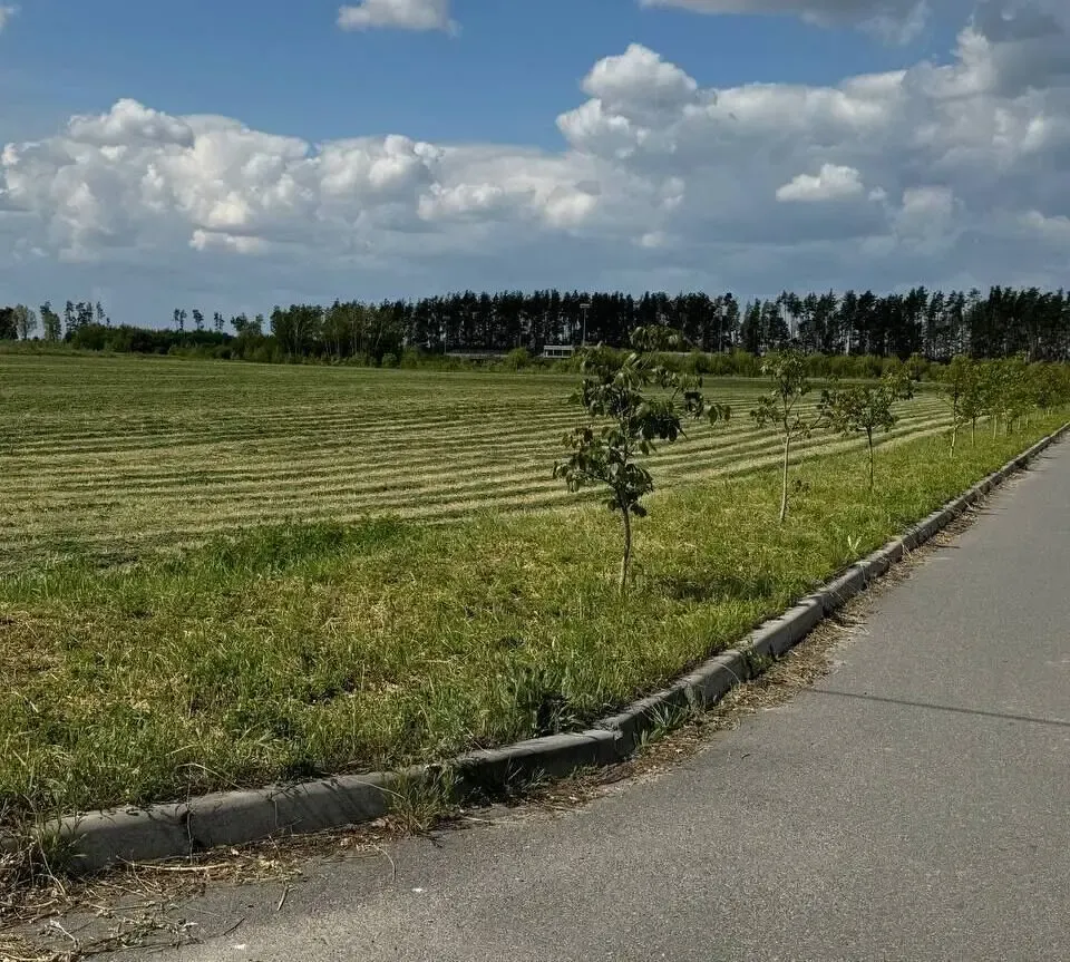 Земельный участок 5Га, c.Бузовая, Киевская область