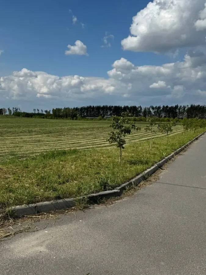 Земельный участок 5Га, c.Бузовая, Киевская область 9