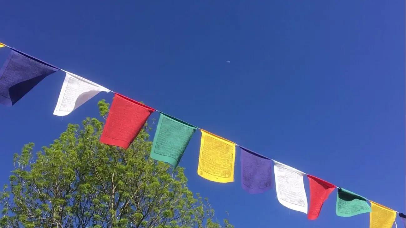 Флажки Лунг-Та, 25х32 см, 100% хлопок, 10 шт. в лоте, длина 2,5 м +50