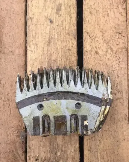 Ножи гребёнки к машинке для стрижки овец 3