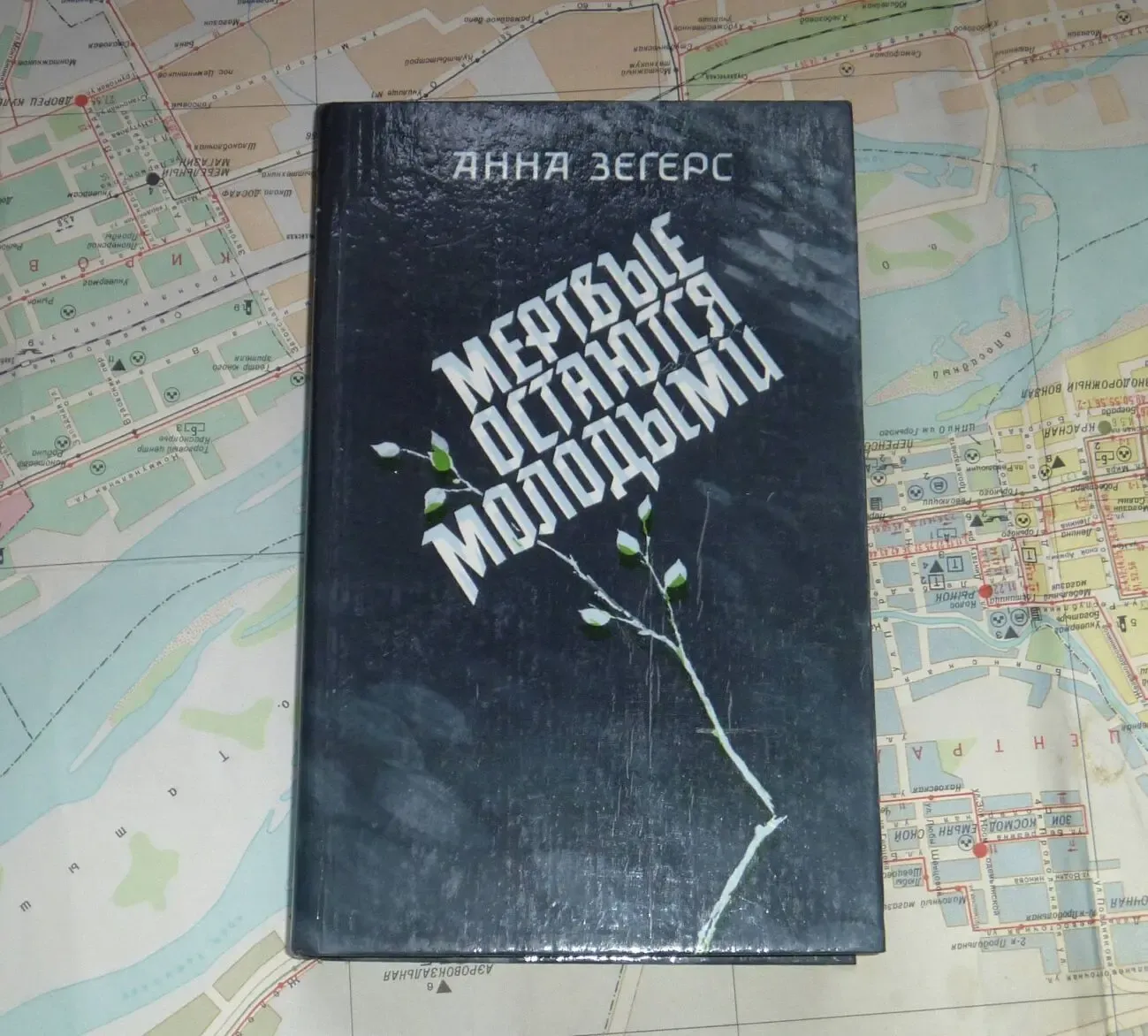 Мертвые остаются молодыми. Анна Зегерс. 1989