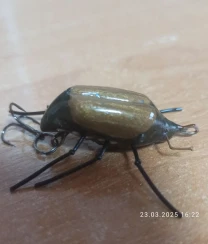 Воблер Хрущ