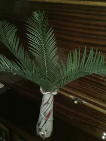 Листья папоротника или пальмы.