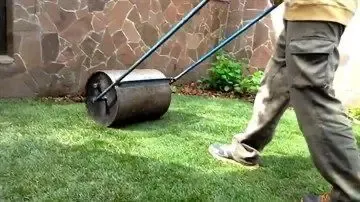 Садовий каток. Аренда