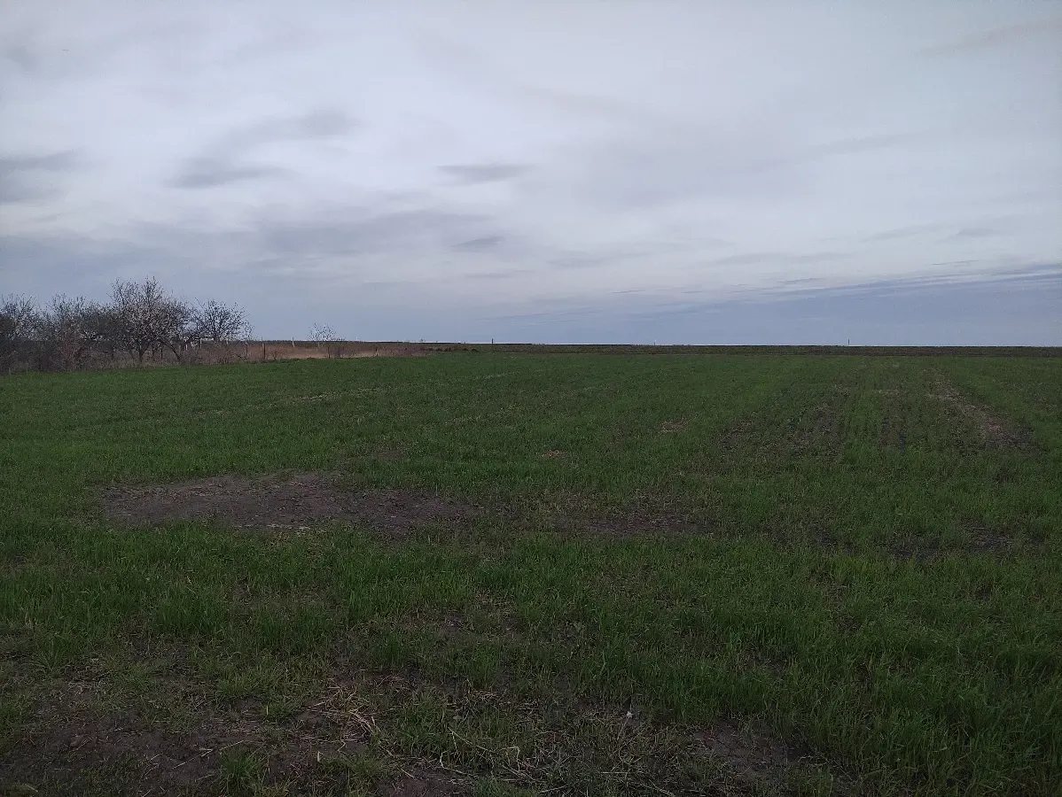 Участок земля п.Котляры бывший Коммунар Харьковский район 2