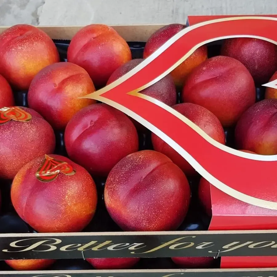 Продаем нектарины из Испании 5