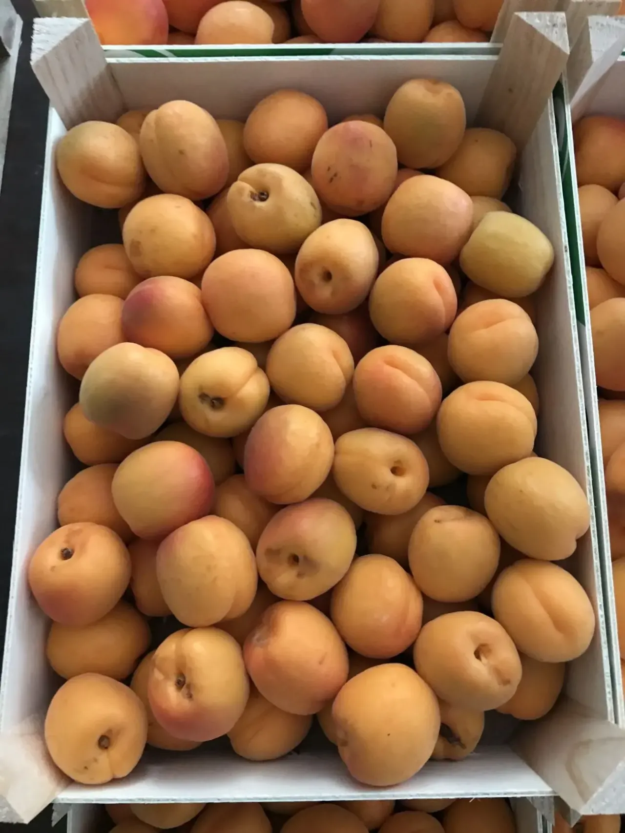 Продаем абрикосы из Испании 4