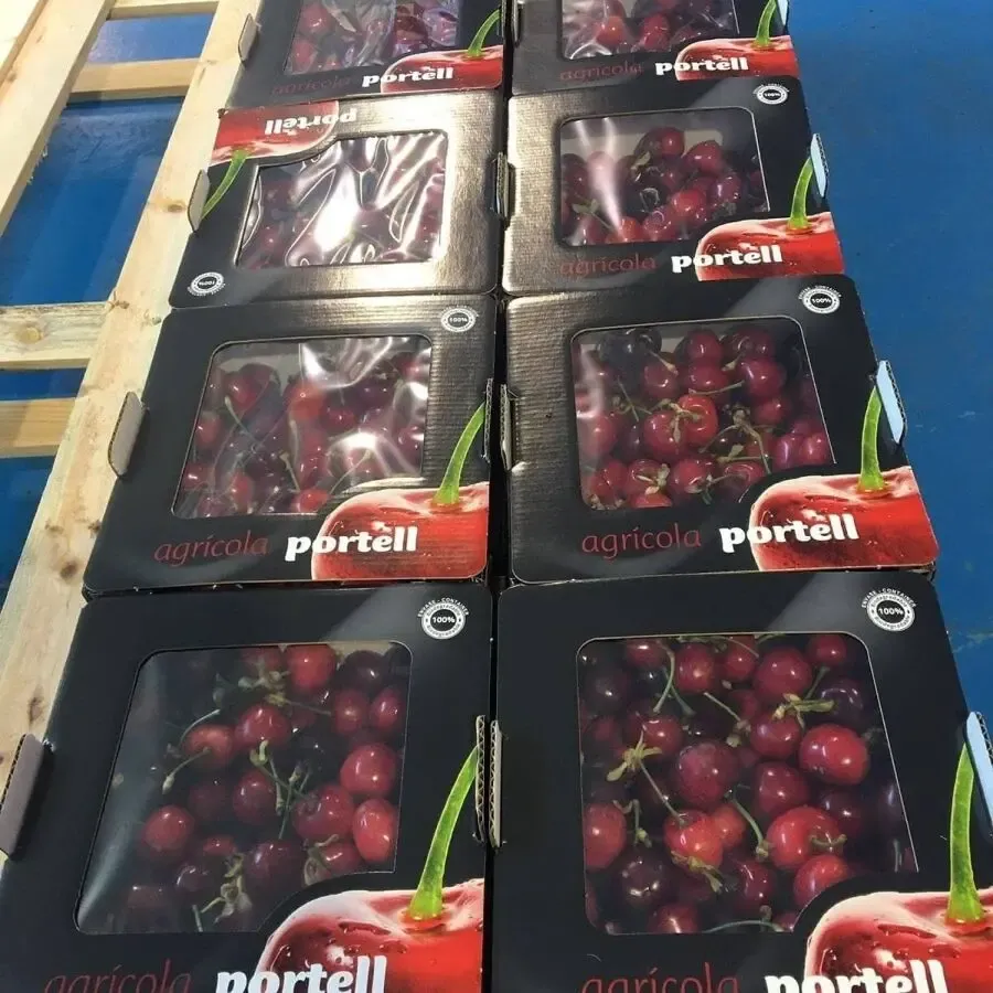 Продаем черешню из Испании 4