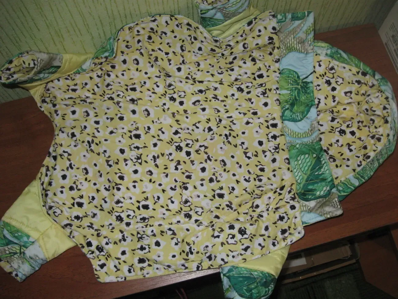 Пальтишки с капюшонами для собачки-девочки 5