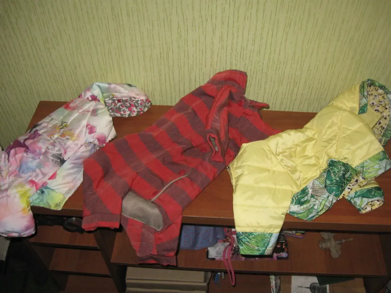 Пальтишки с капюшонами для собачки-девочки