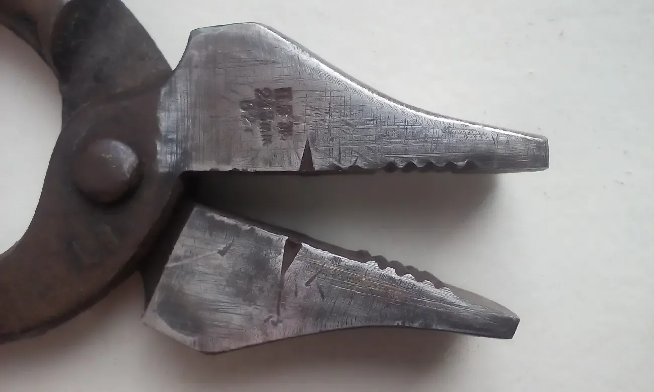 Кліщі взутєвика. 3