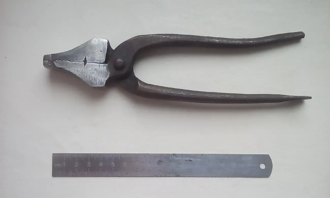 Кліщі взутєвика. 2