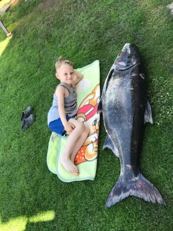 сеть на крупную рыбу 2