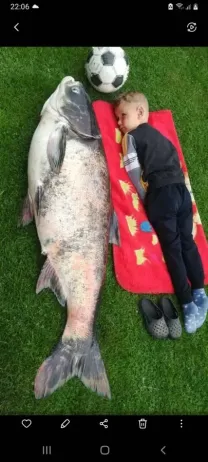 сеть на крупную рыбу