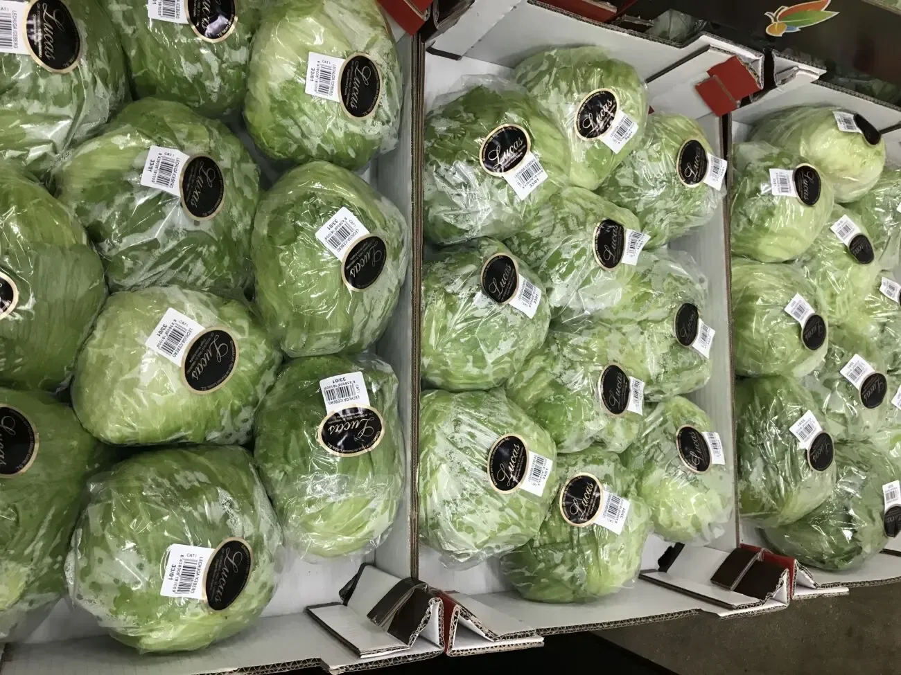 Продаем салаты 9