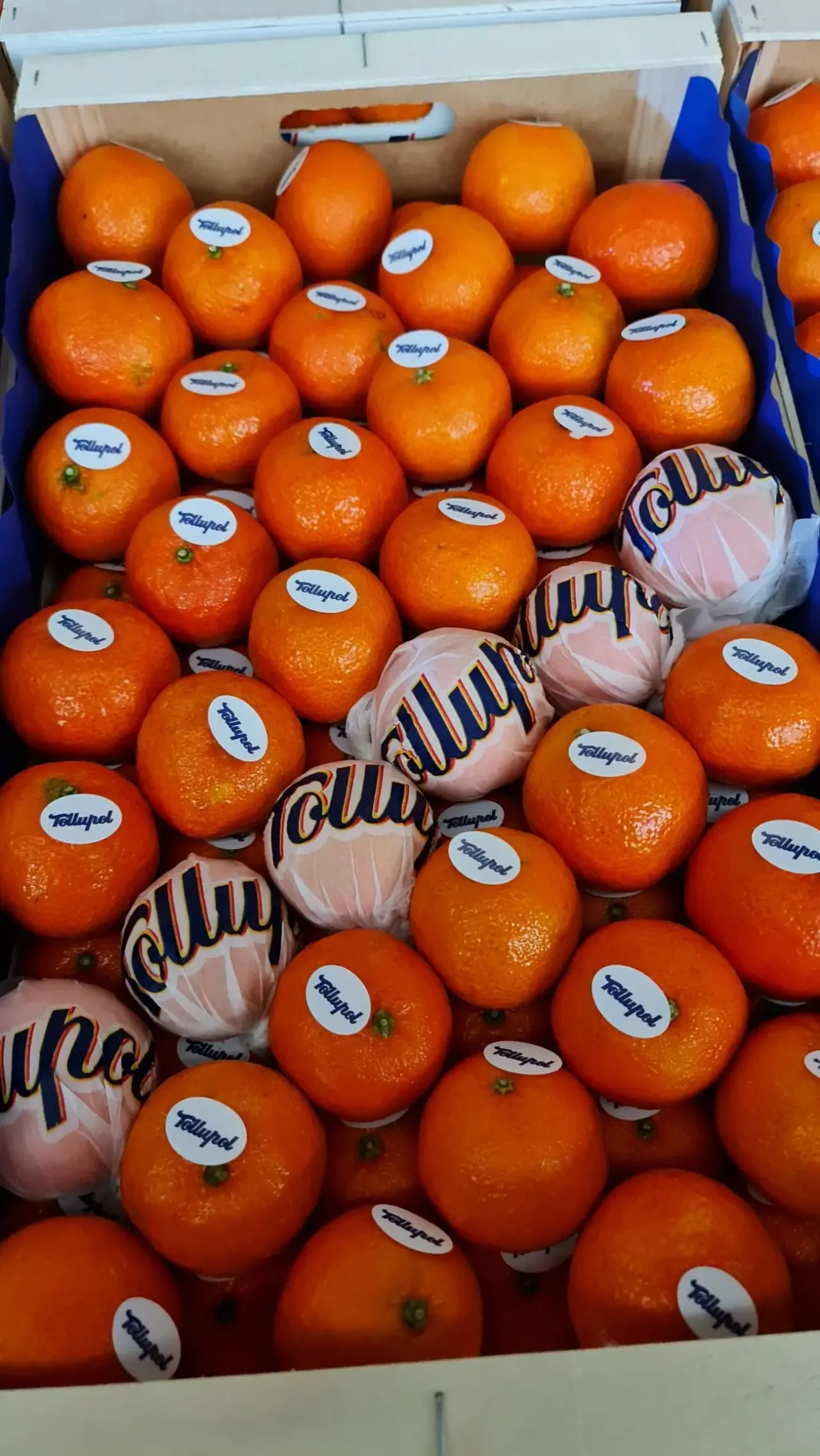 Продаем мандарины