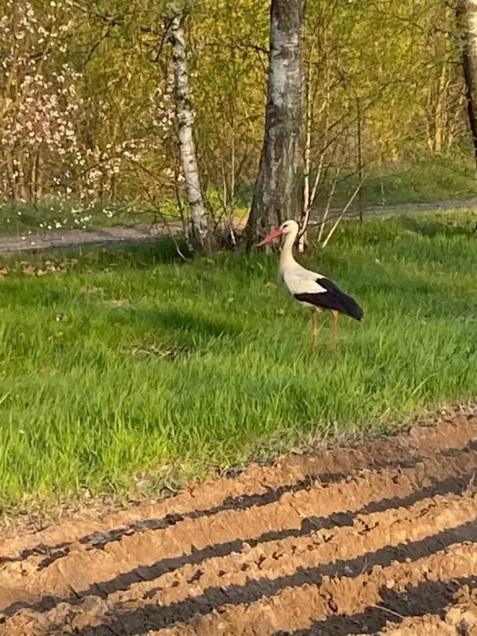 Продам земельный участок