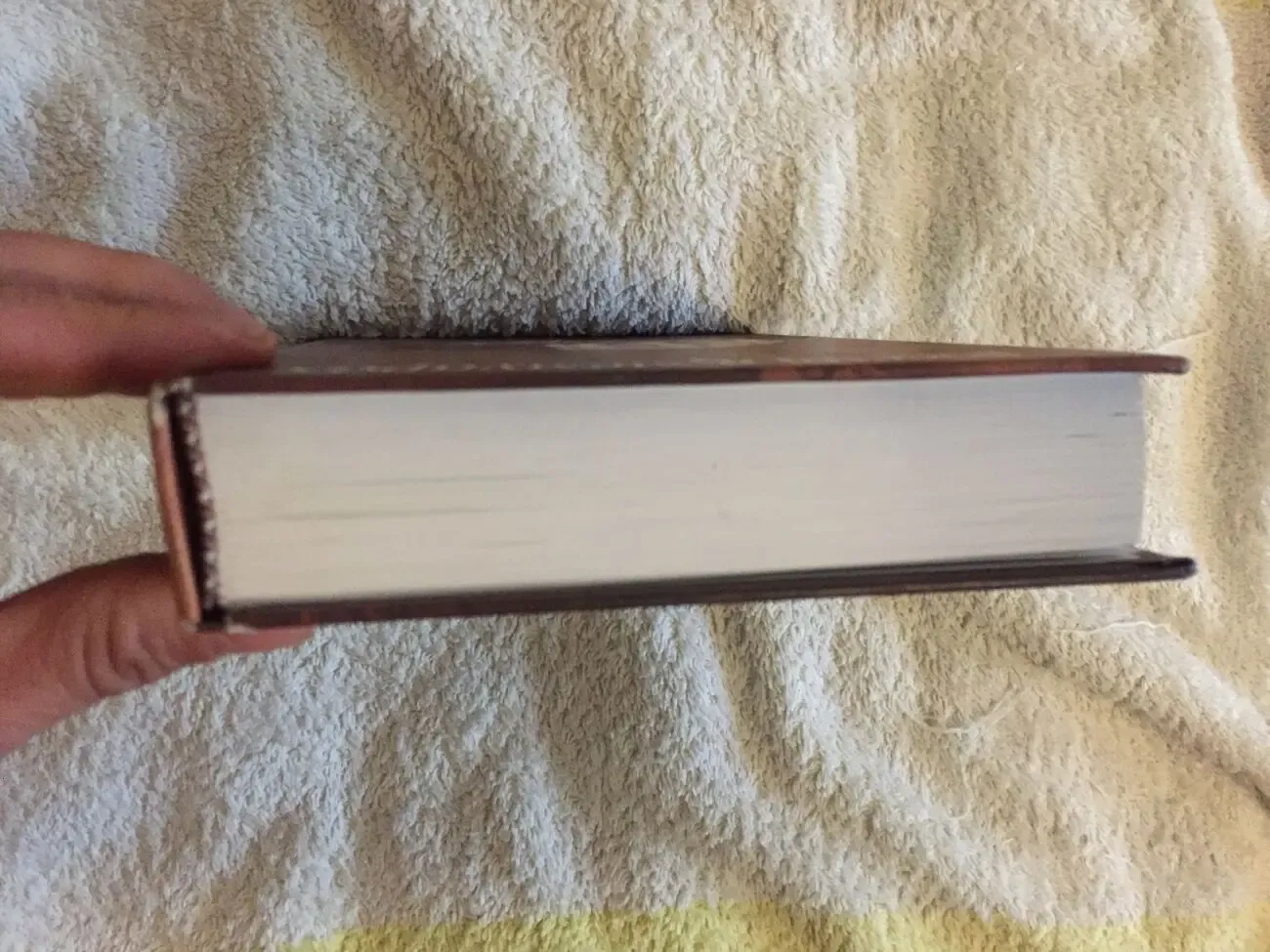 Институтки:Воспоминания воспитанниц института благородных девиц 8