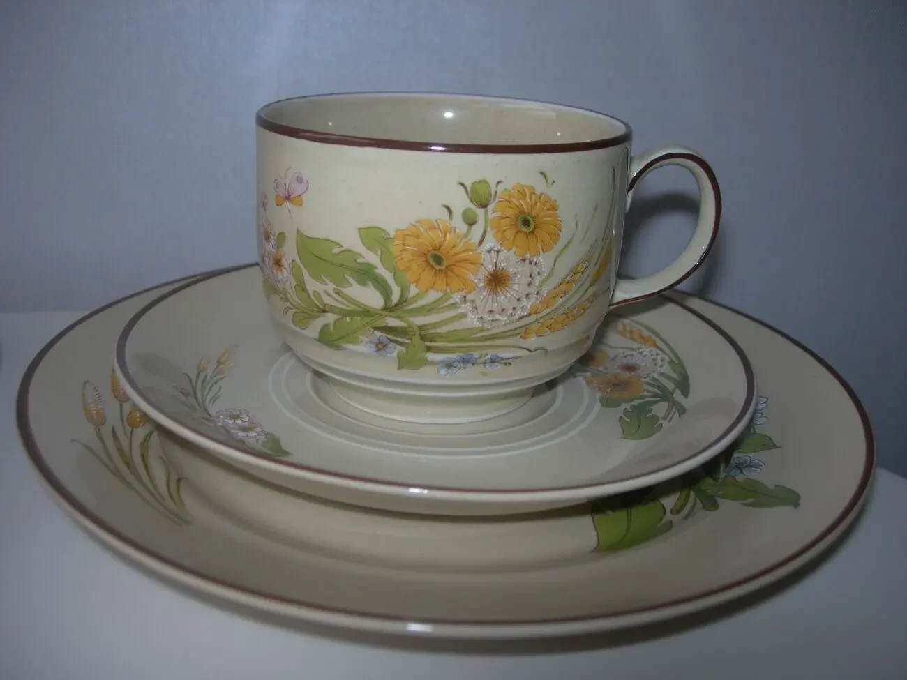 Чайная тройка, тарелка, чашка, Mitterteich Bavaria, Германия