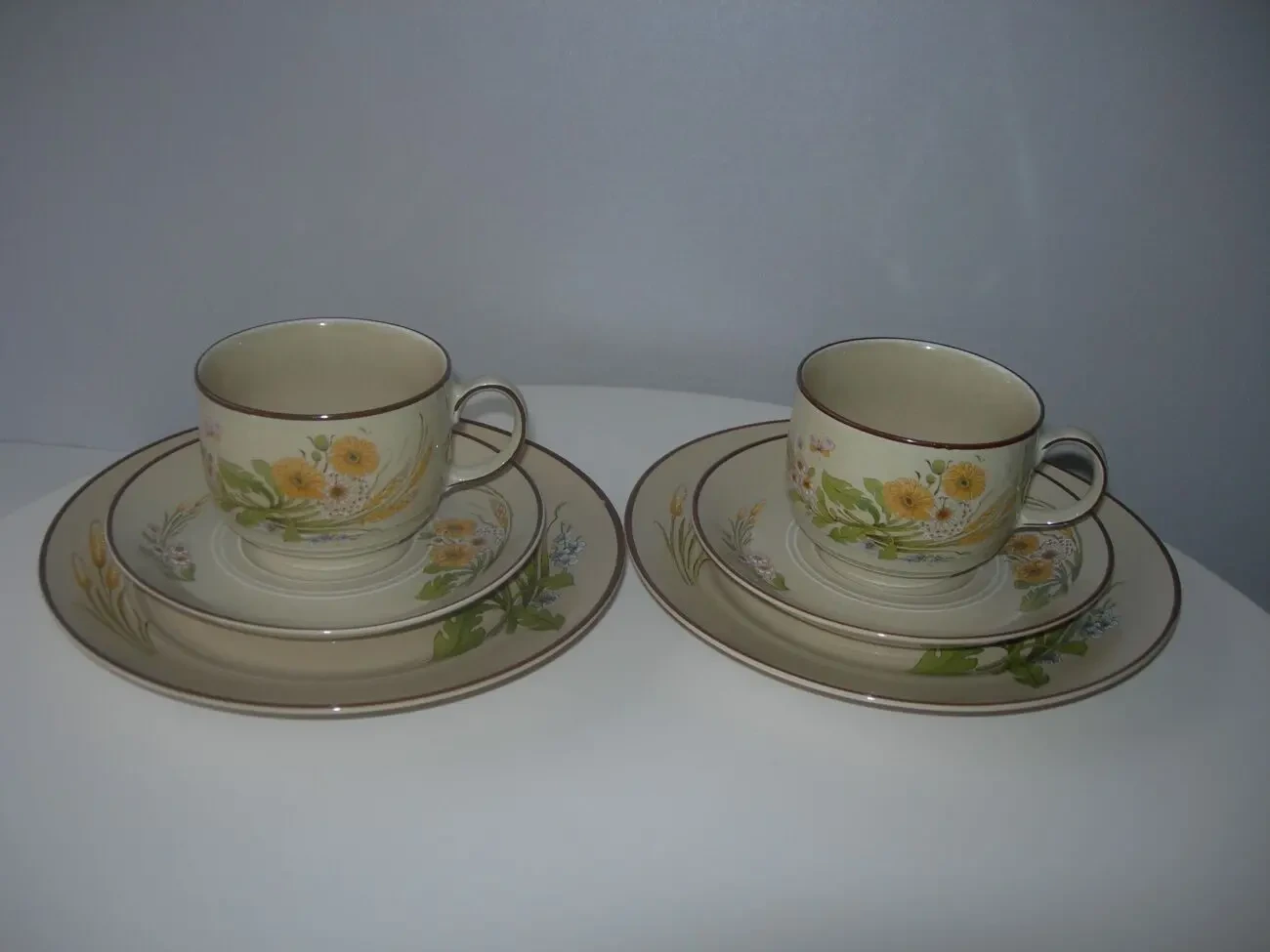 Чайная тройка, тарелка, чашка, Mitterteich Bavaria, Германия 2