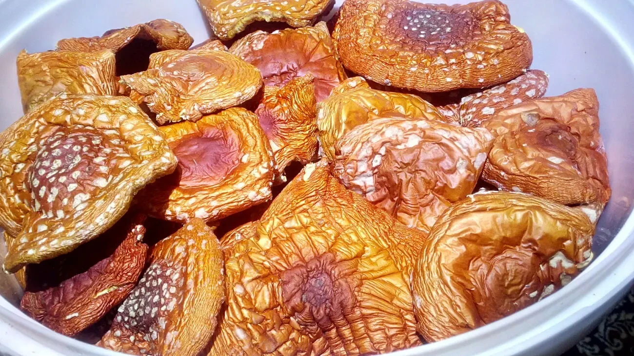 Мухомор червоний сушений. Мухомор красный сушеный. Гриби лікувальні