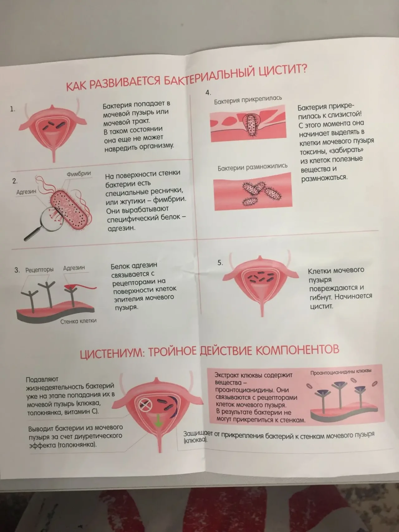 продам Цистениум,в саше,2 упаковки 6