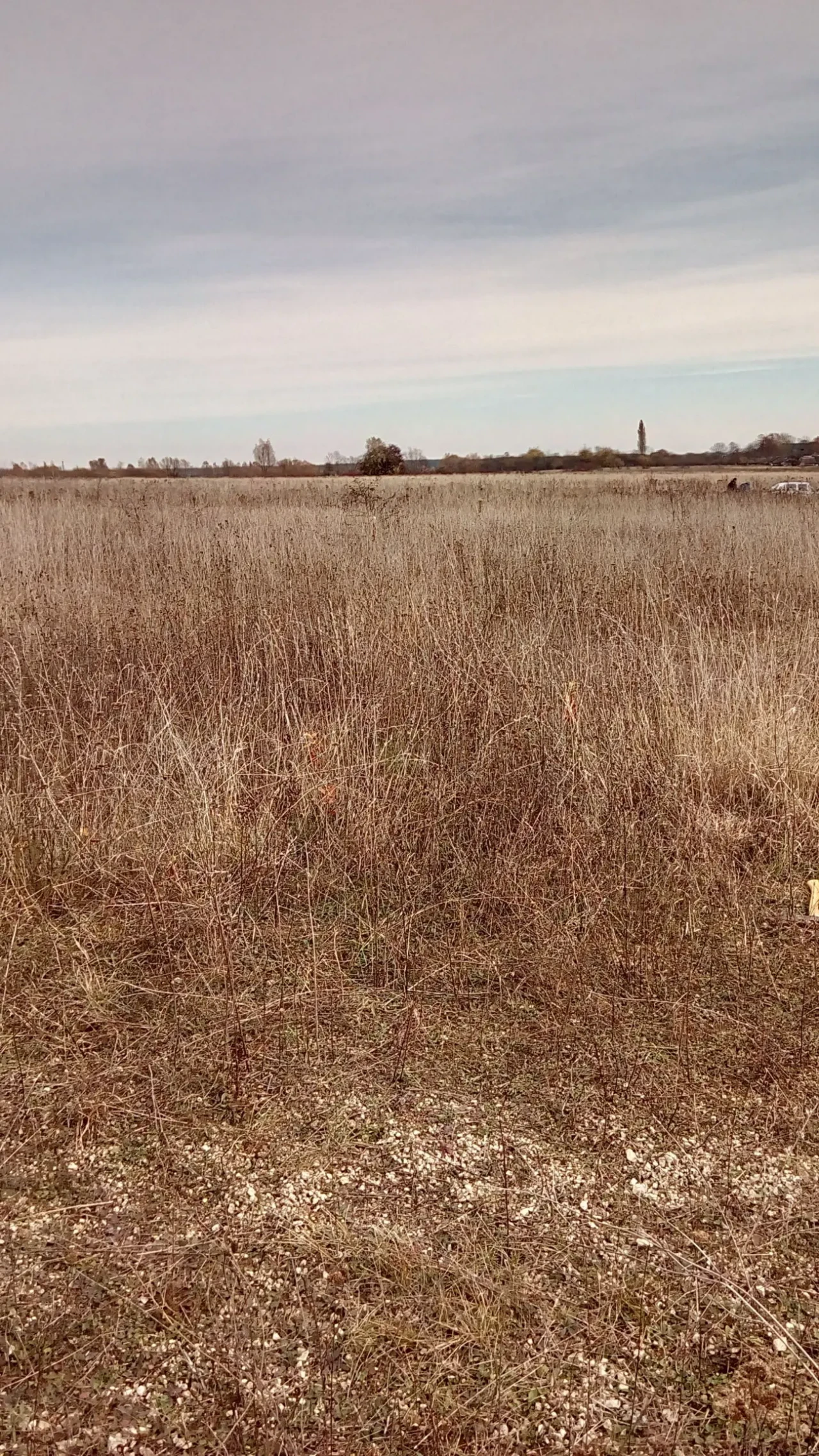 Земельна ділянка 5