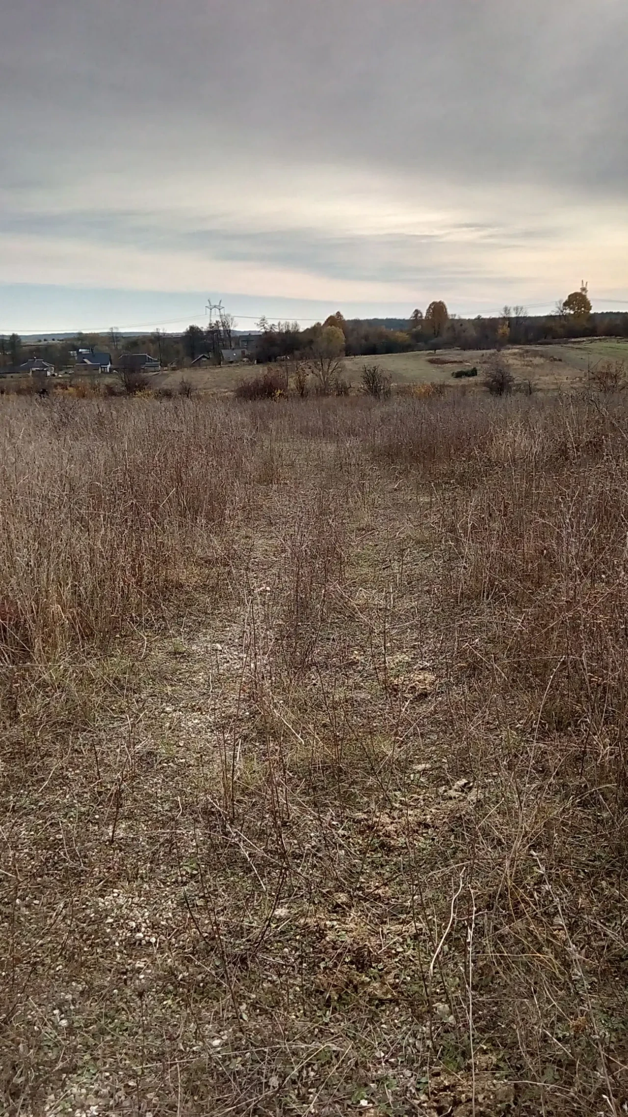 Земельна ділянка 7