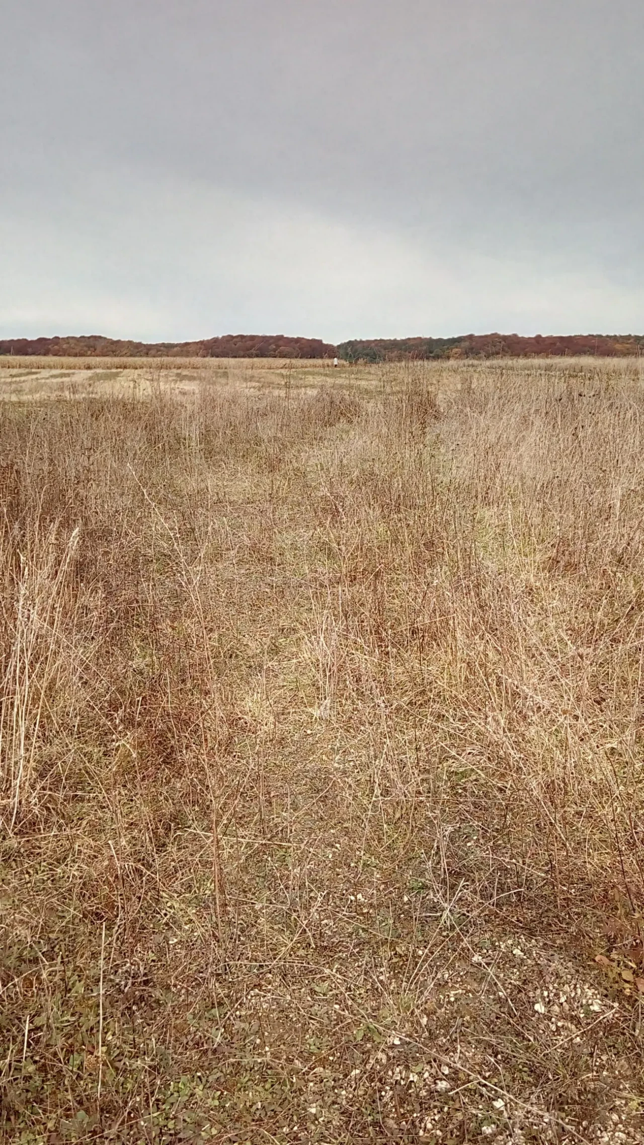 Земельна ділянка 6