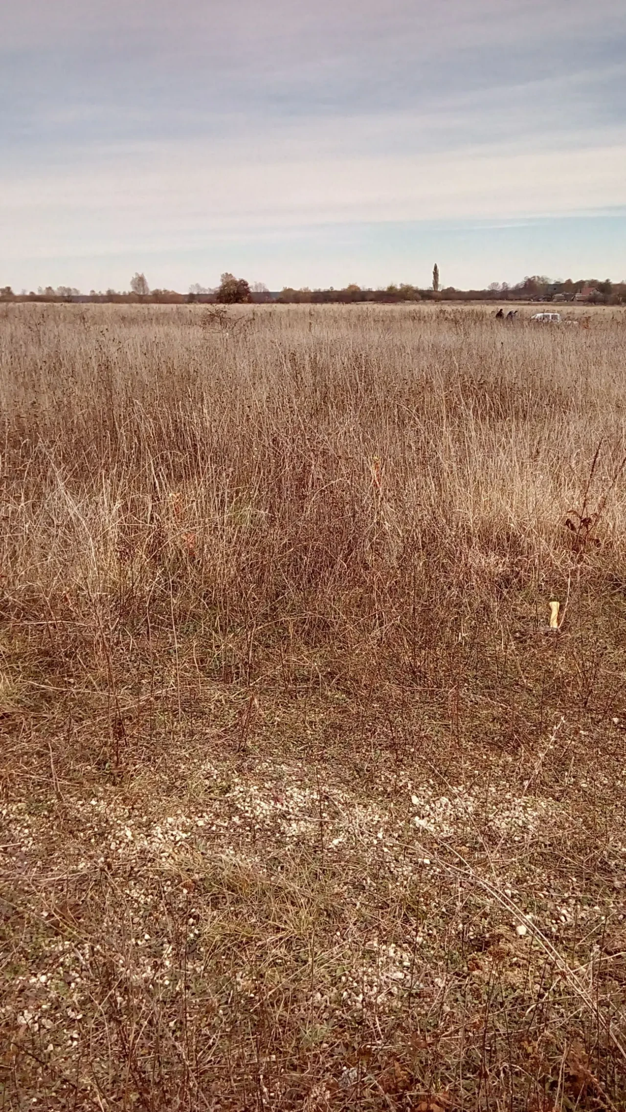 Земельна ділянка 4