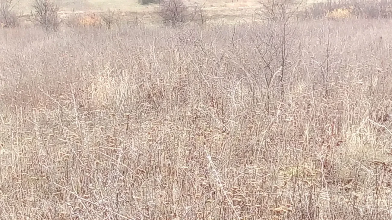 Земельна ділянка 8