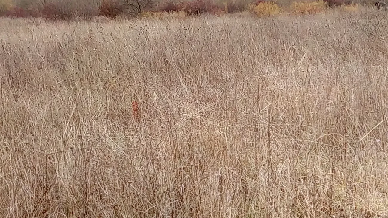 Земельна ділянка 9