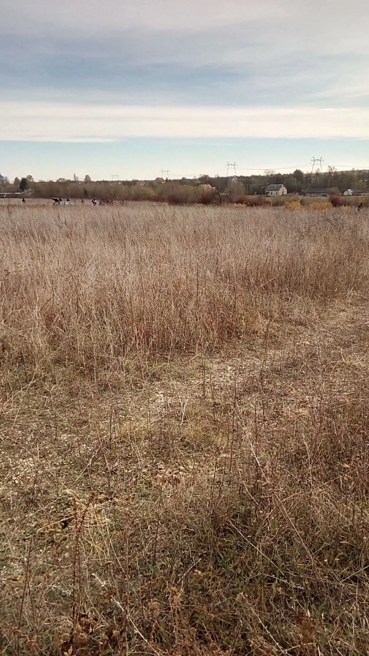 Земельна ділянка