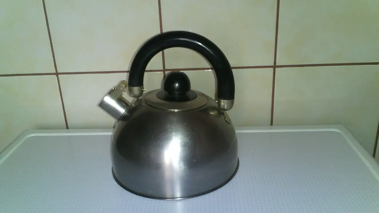 Чайник нержавейка.