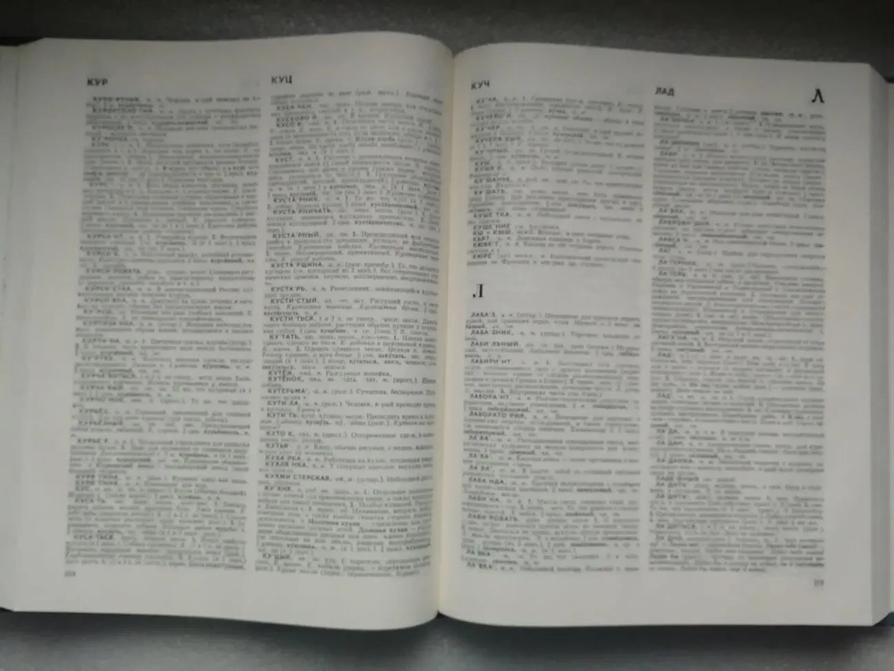 Словарь русского языка. Ожегов с.и. 5