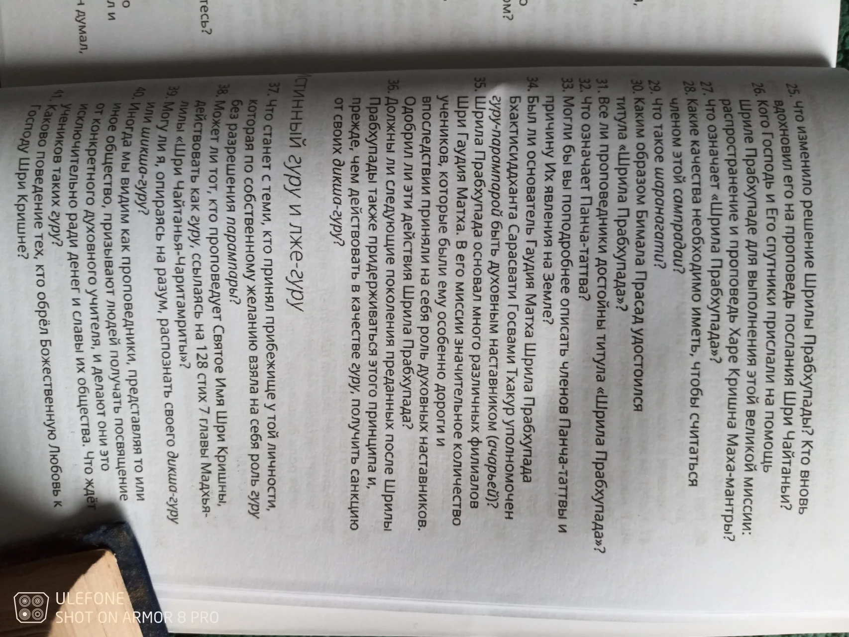 Дух Гаудий - Шрила Бхакти Бибудха Бодхайан Госвами 2