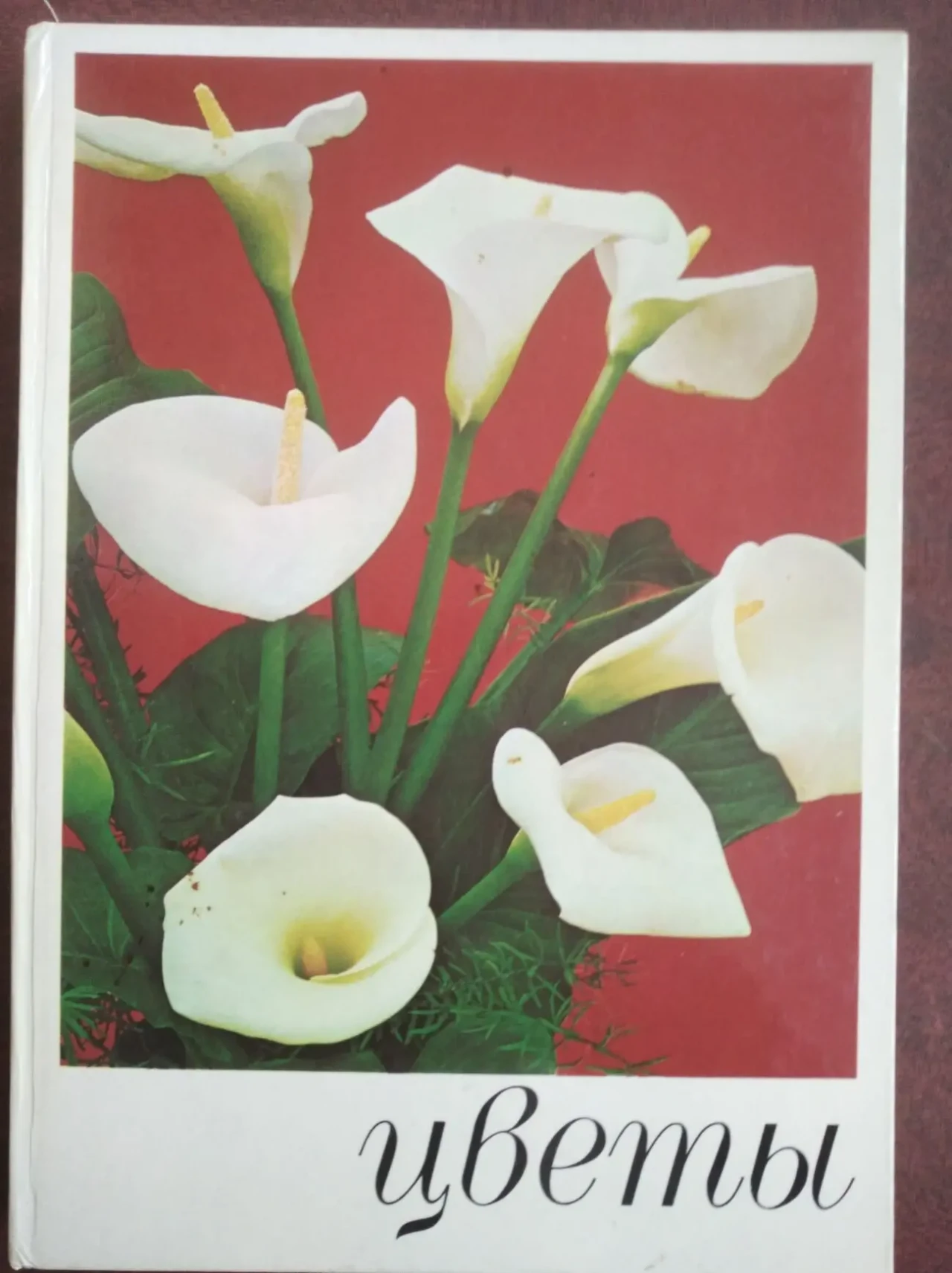 книгу Цветы. Комнатные растения и декоративнорастущие кустарники