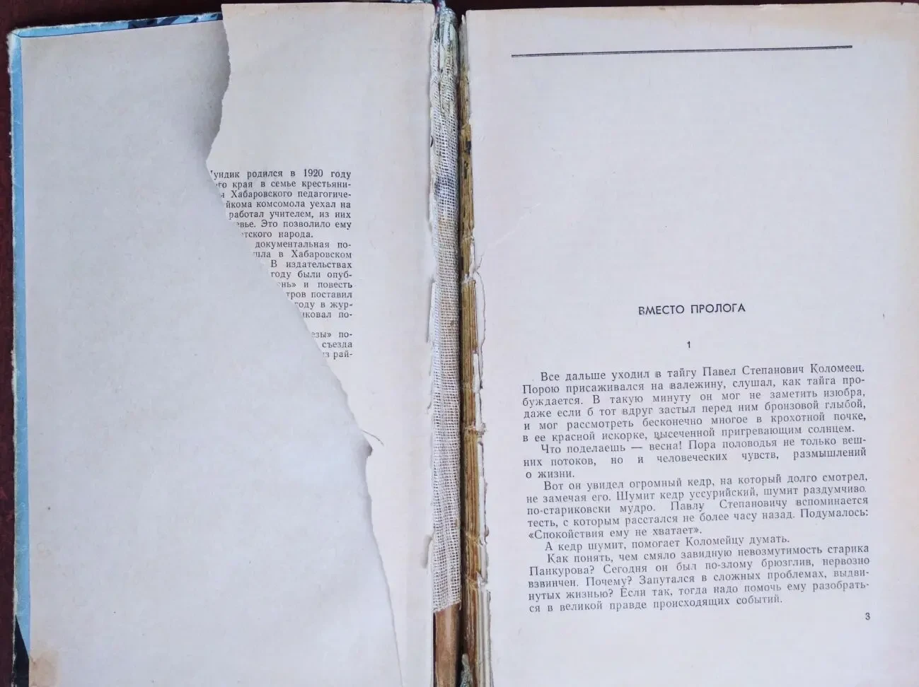 Продам книгу Николай Шундик – Родник у березы 2