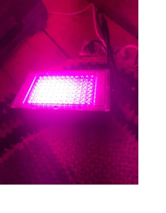 Фитолампа для растений, рассады, светильник полного спектра PARKSON 9