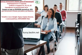 Репетитор польского языка, Курс польского языка