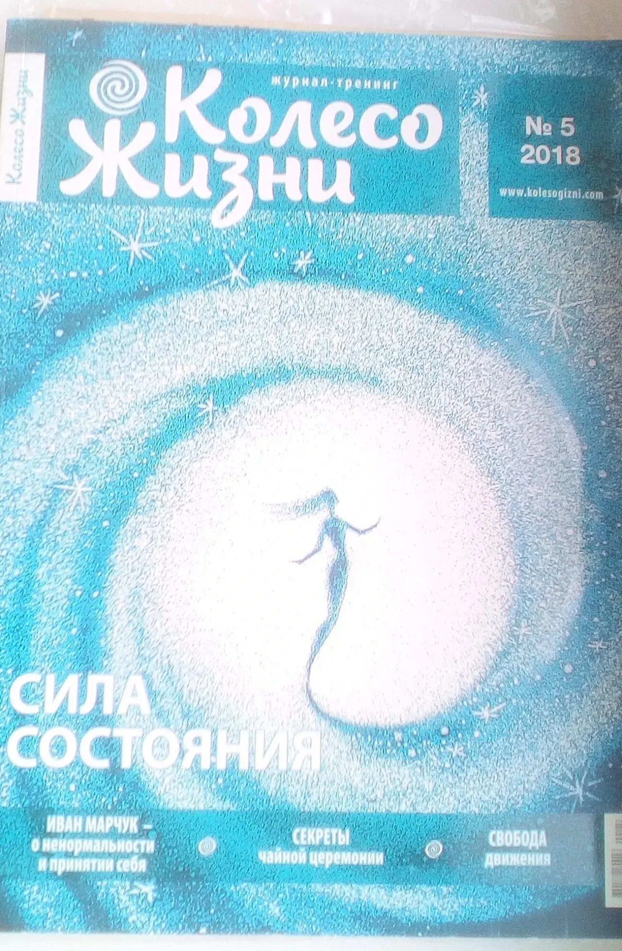 Журнал по психологии, мотивации Колесо жизни на русском 4