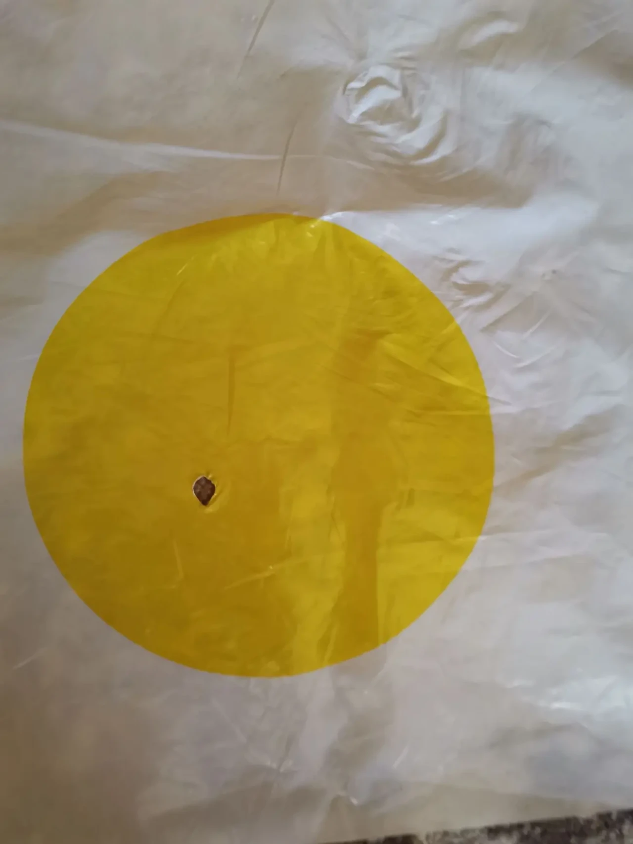 Гра напольна Danko Toys Твистеп гранд 6