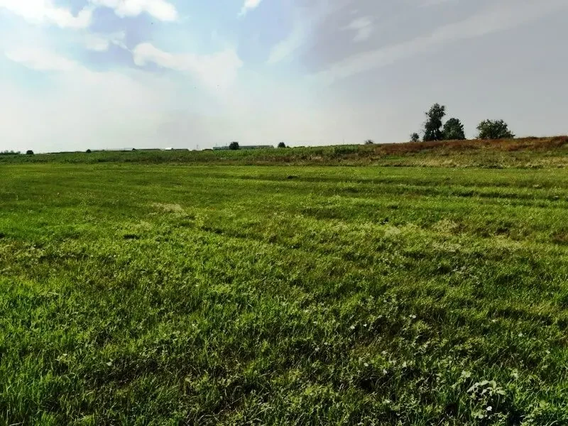 Продам участок  берег Орели Елизаветовка 2