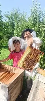 Мед натуральний квітковий -фацелія, гречка,соняшник. 1л-1.525кг.