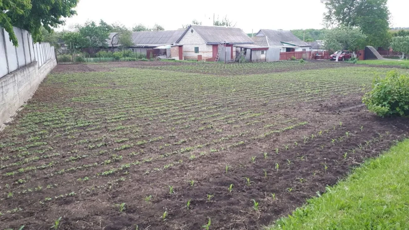 Будинок з земельними ділянками 3