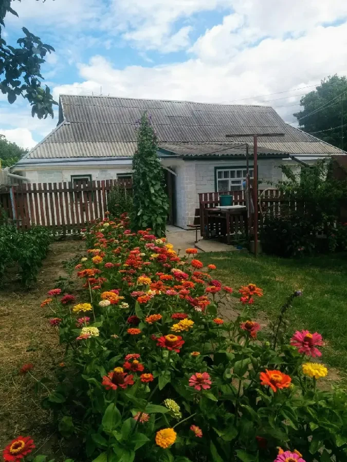 Будинок з земельними ділянками